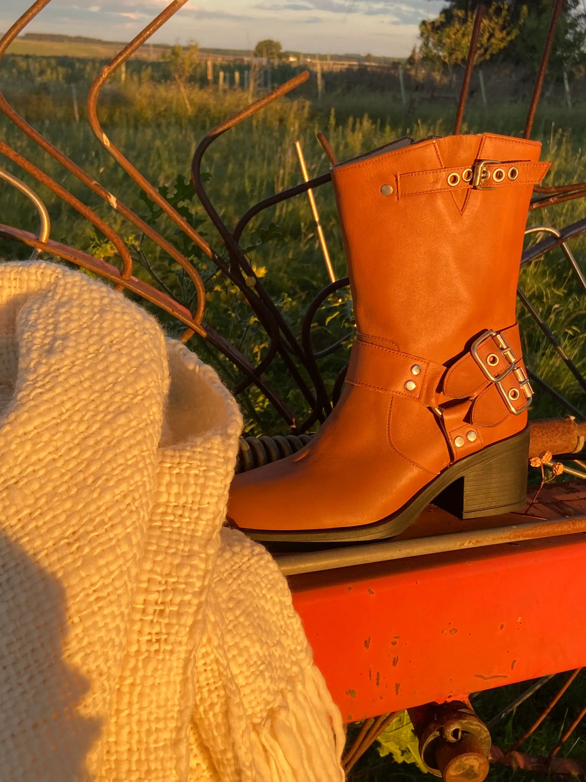 Bota marron